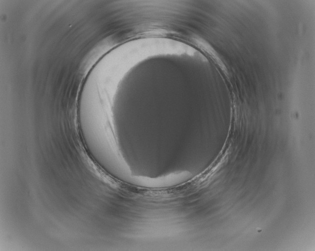 X0000071781194200607282230