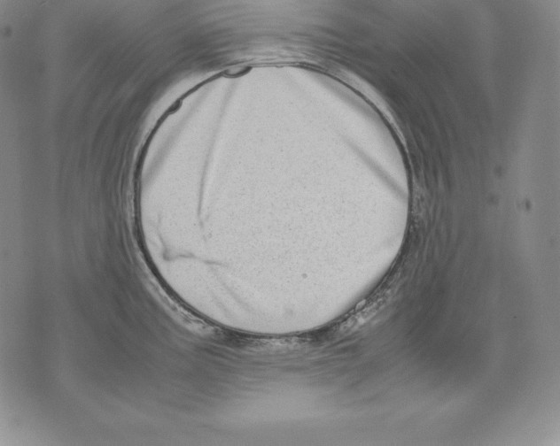 X0000071781195200607282230