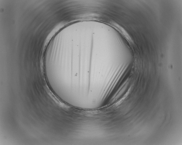 X0000071781196200607282230