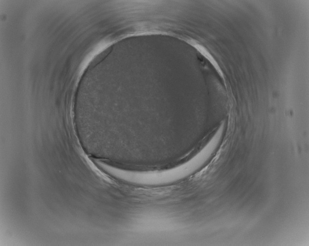 X0000071781197200607282230