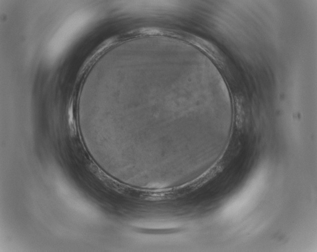 X0000071781198200607282230