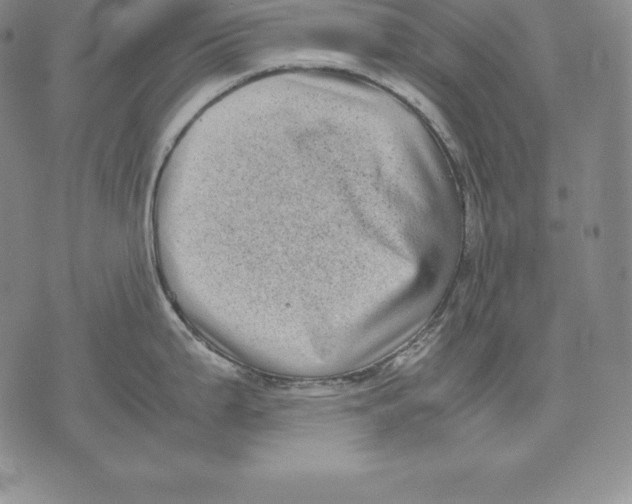 X0000071781199200607282230