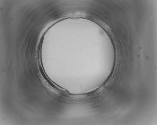 X0000071781200200607282230