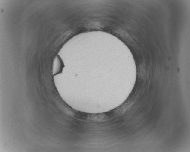 X0000071781201200607282229