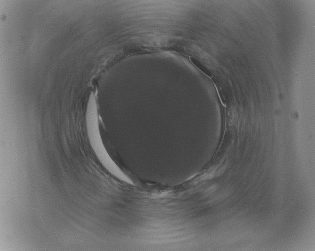 X0000071781202200607282229