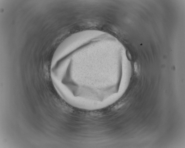 X0000071781203200607282229