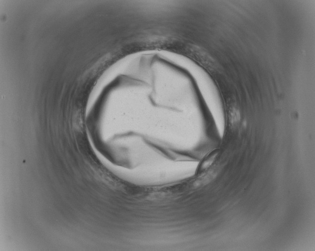 X0000071781204200607282229