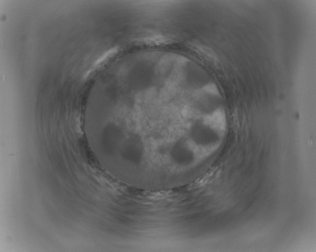 X0000071781205200607282229