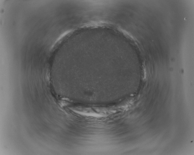 X0000071781206200607282229