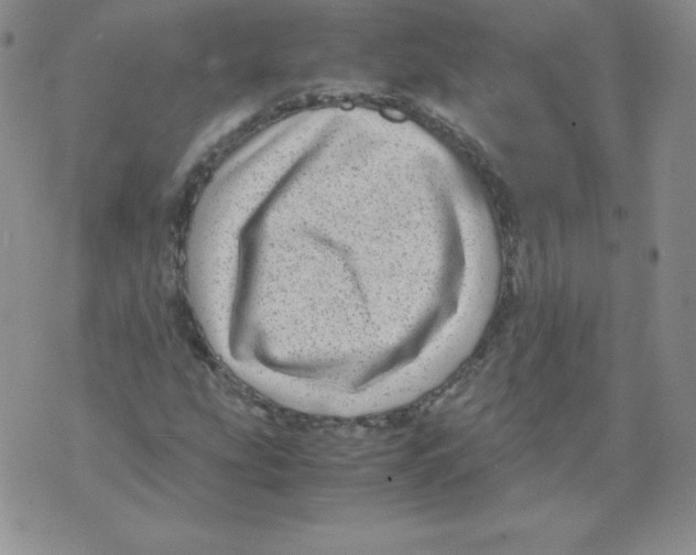 X0000071781207200607282229