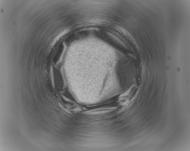 X0000071781210200607282229