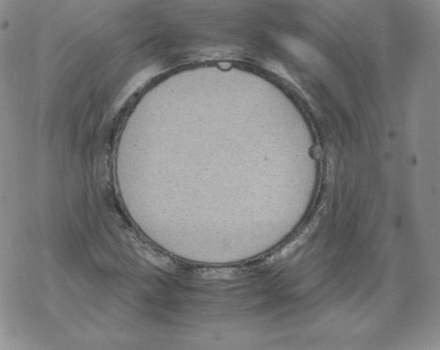 X0000071781211200607282229