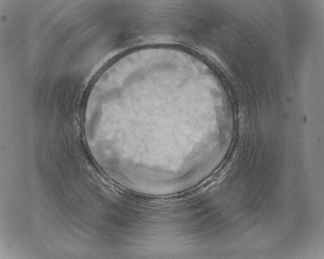 X0000071781212200607282229