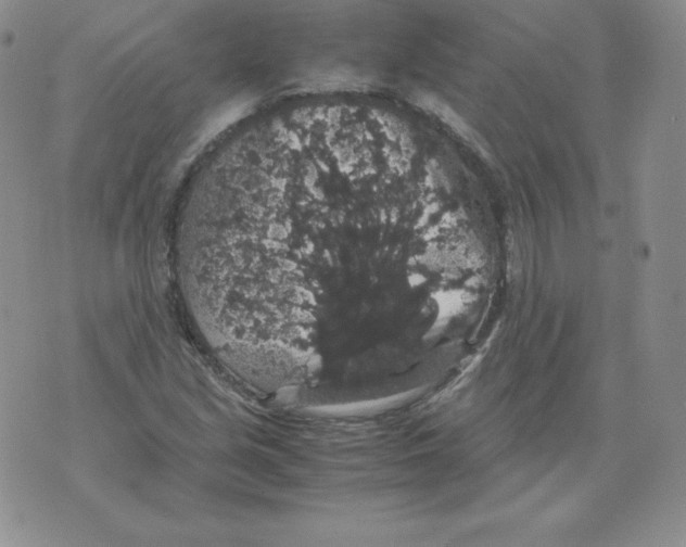 X0000071781213200607282229