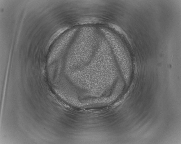 X0000071781217200607282230