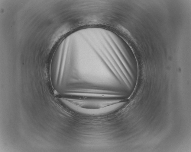 X0000071781218200607282230