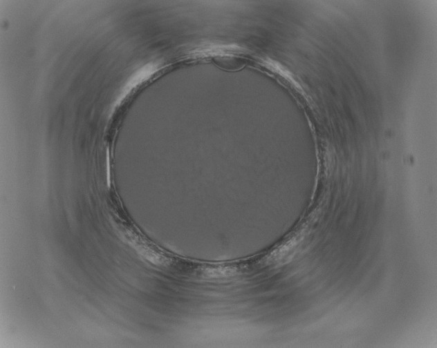 X0000071781219200607282230