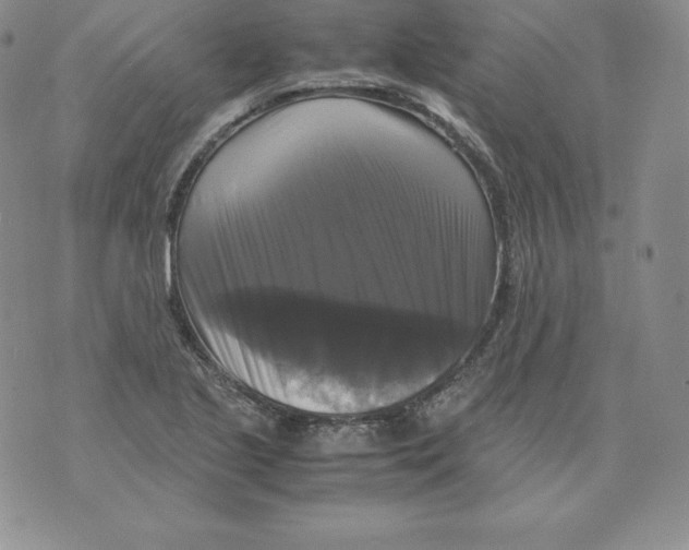 X0000071781221200607282230