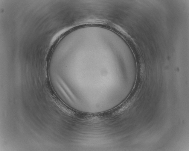 X0000071781222200607282230