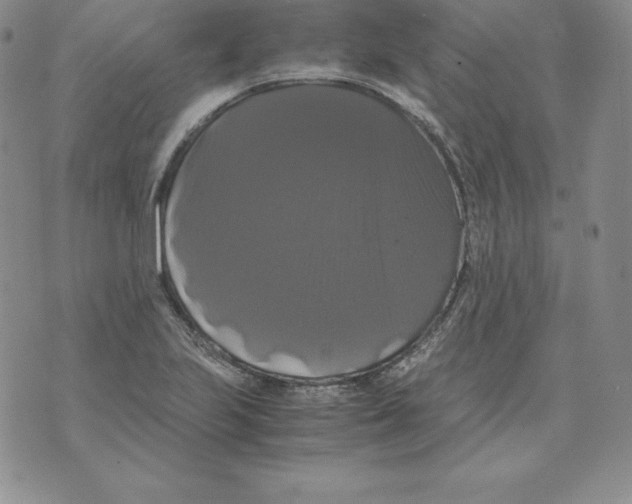 X0000071781223200607282230