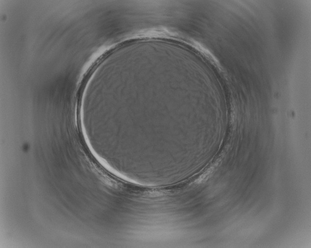 X0000071781224200607282230