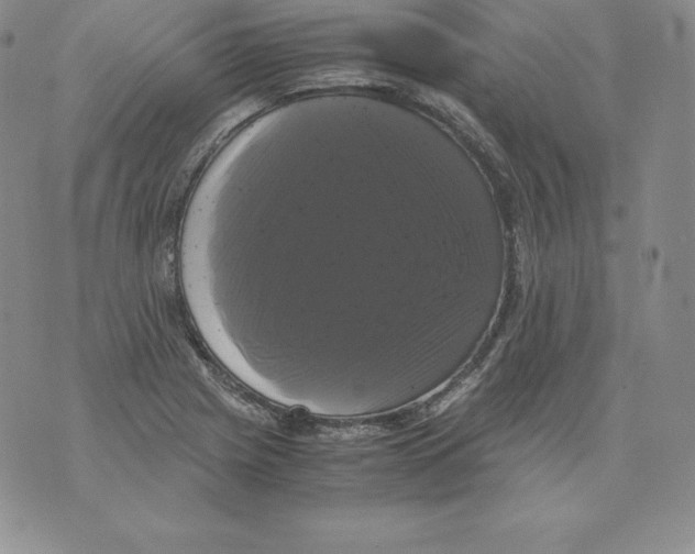 X0000071781225200607282230