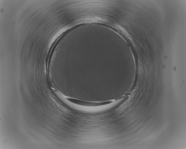 X0000071781226200607282230