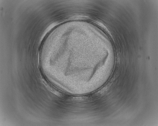 X0000071781227200607282230