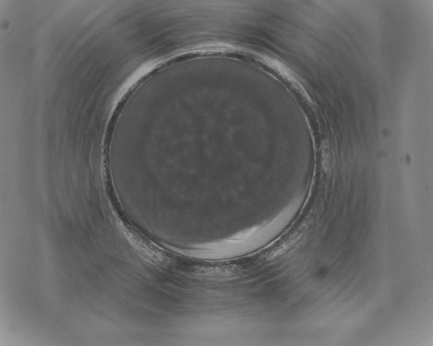 X0000071781229200607282230