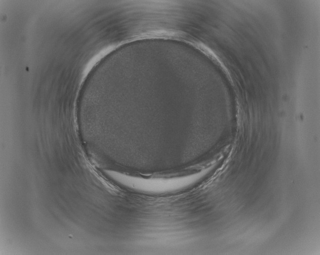 X0000071781230200607282230