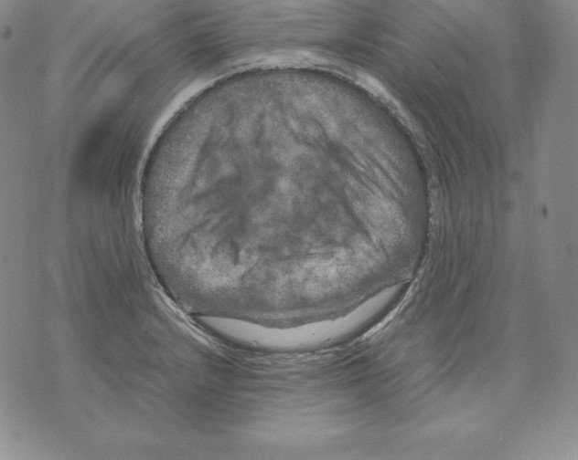 X0000071781232200607282230