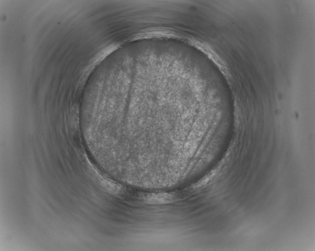 X0000071781233200607282230