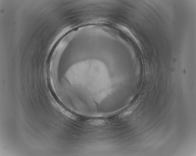 X0000071781235200607282230