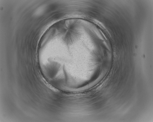 X0000071781236200607282230