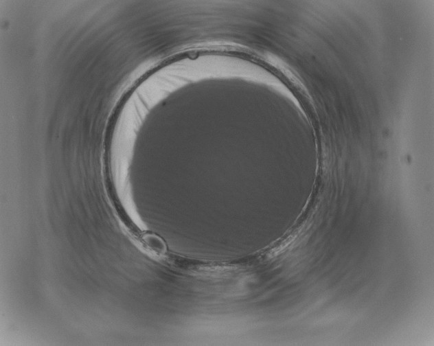 X0000071781237200607282230