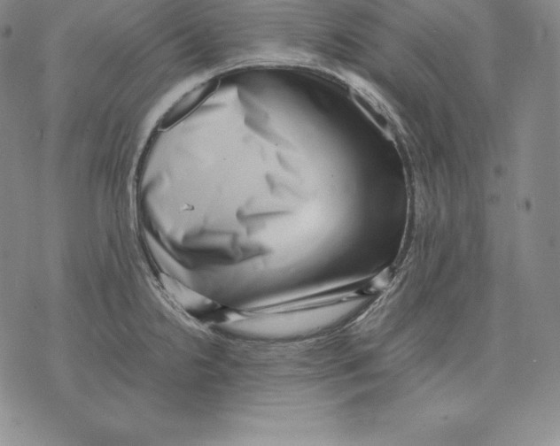 X0000071781238200607282230