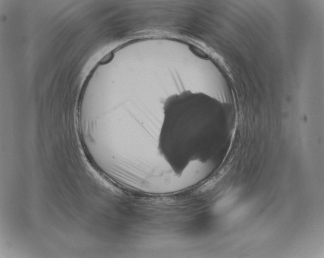 X0000071781239200607282230