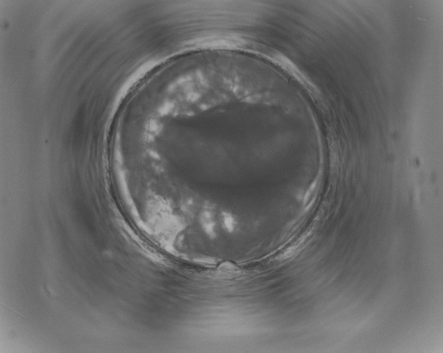 X0000071781240200607282230