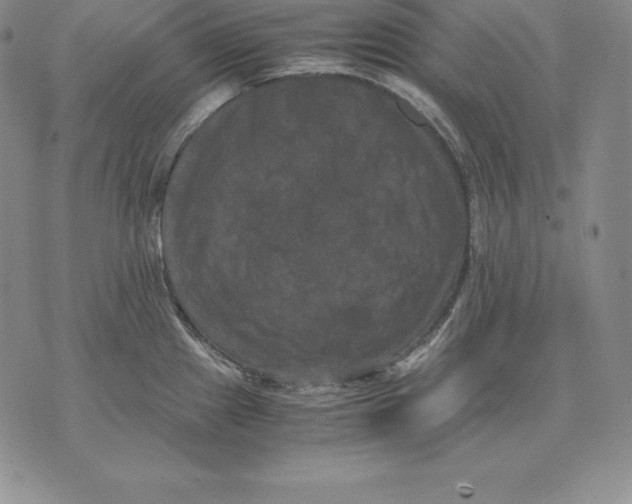 X0000071781241200607282230