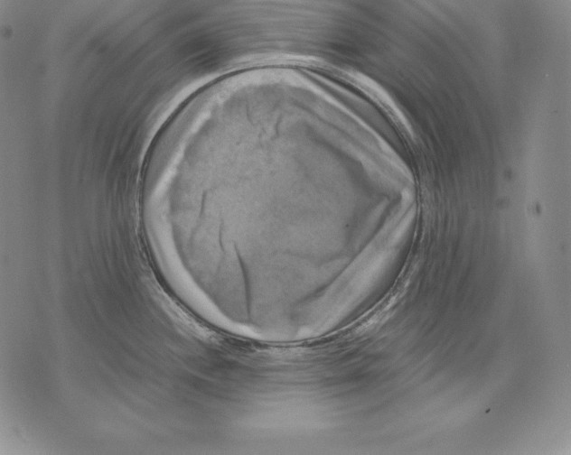 X0000071781244200607282230