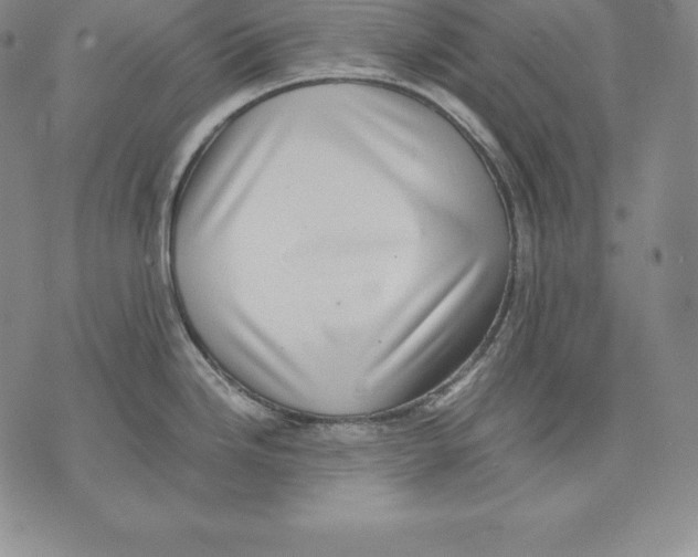 X0000071781246200607282230