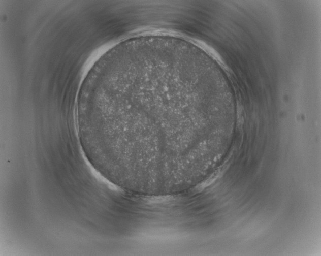 X0000071781247200607282230