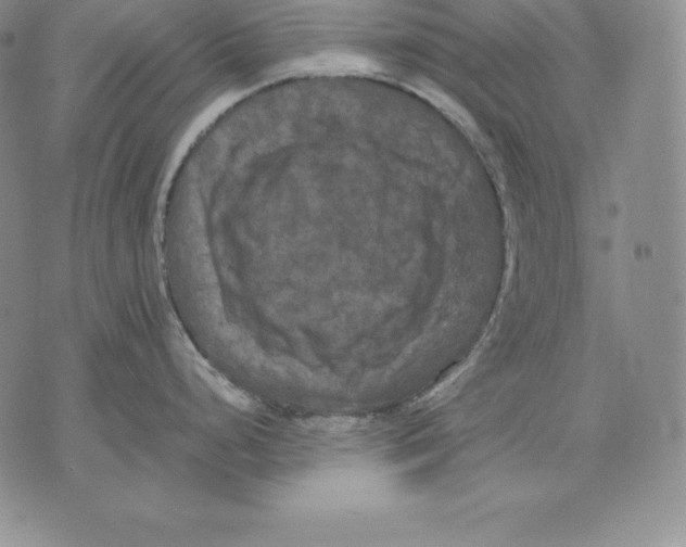 X0000071781248200607282230