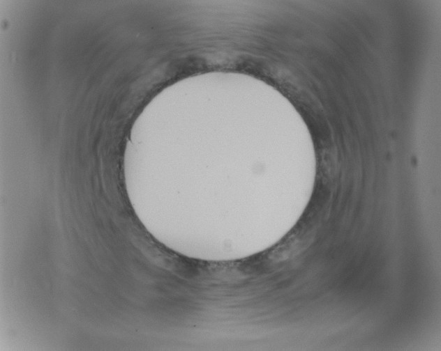 X0000071781249200607282229