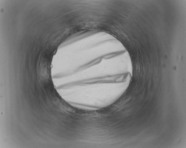 X0000071781250200607282229