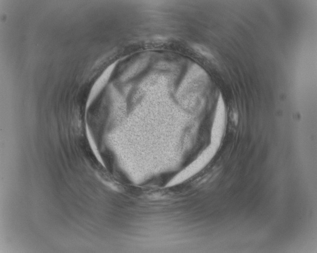 X0000071781252200607282229