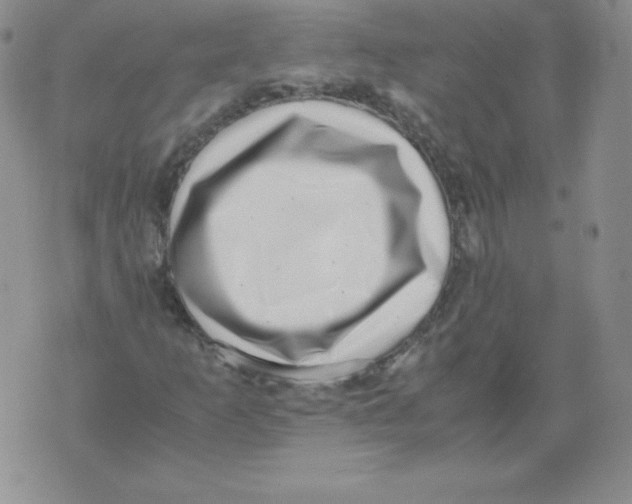 X0000071781253200607282229