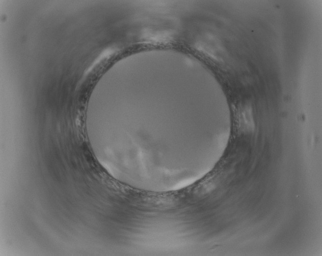 X0000071781254200607282229