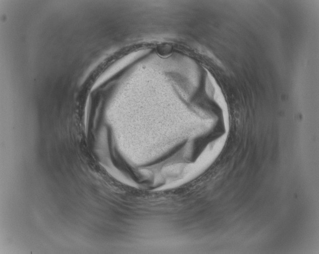 X0000071781256200607282229