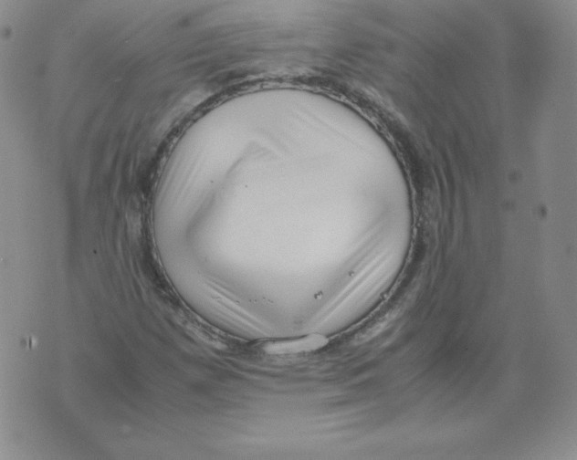 X0000071781257200607282229